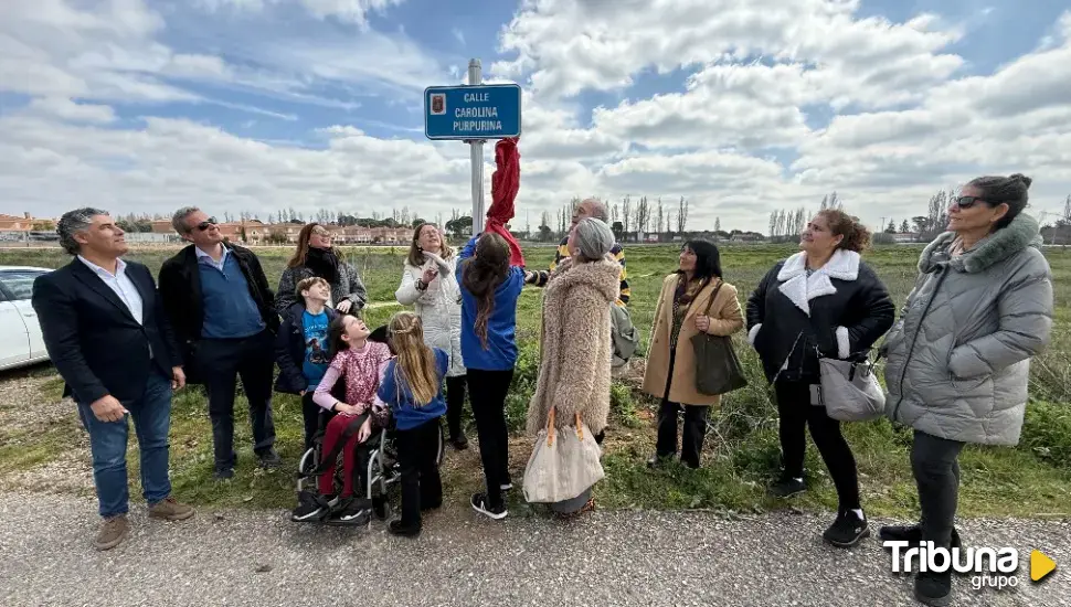 Enthüllung des Straßenschilds Carolina Purpurina: eine Gruppe mit einem Mädchen im Rollstuhl betrachtet die blaue Tafel.